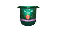 Activia Lactose Free Yogurt