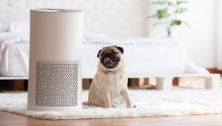 Can air purifiers really reduce your COVID risk?