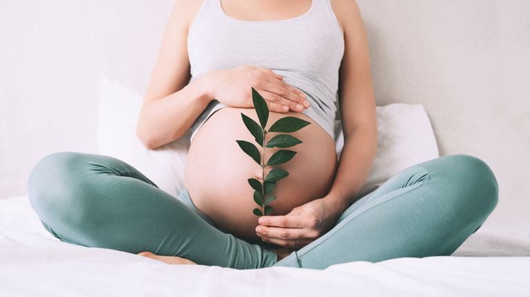 Pregnant woman holds green sprout plant near her belly as symbol of new life, wellbeing, fertility, unborn baby health.