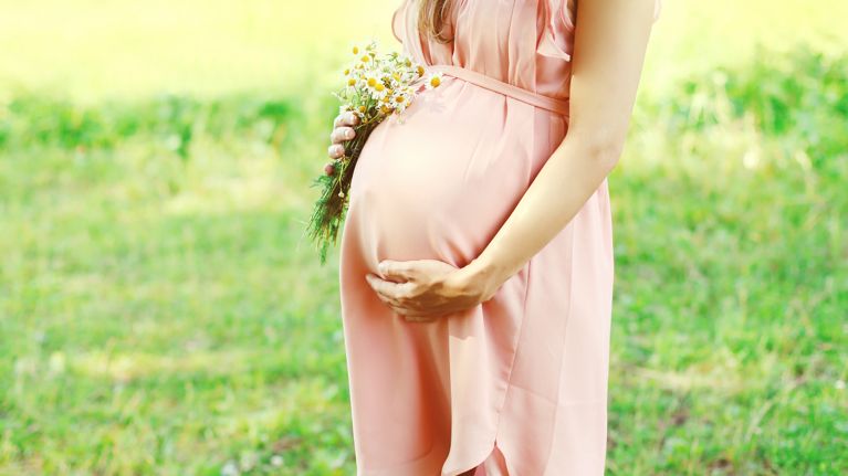 Pretty pregnant woman with chamomiles flowers over summer backgr