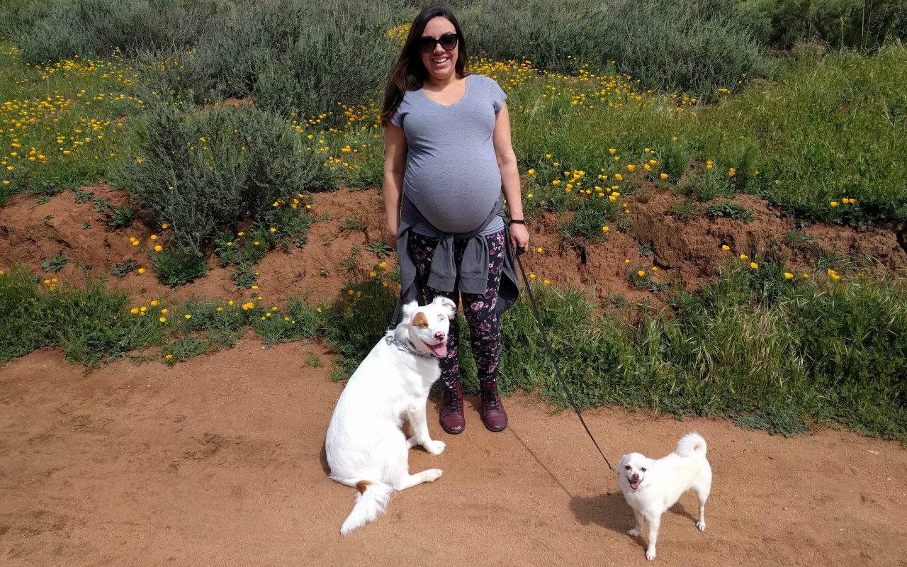 author Sunshine, pregnant with her two dogs walking outside
