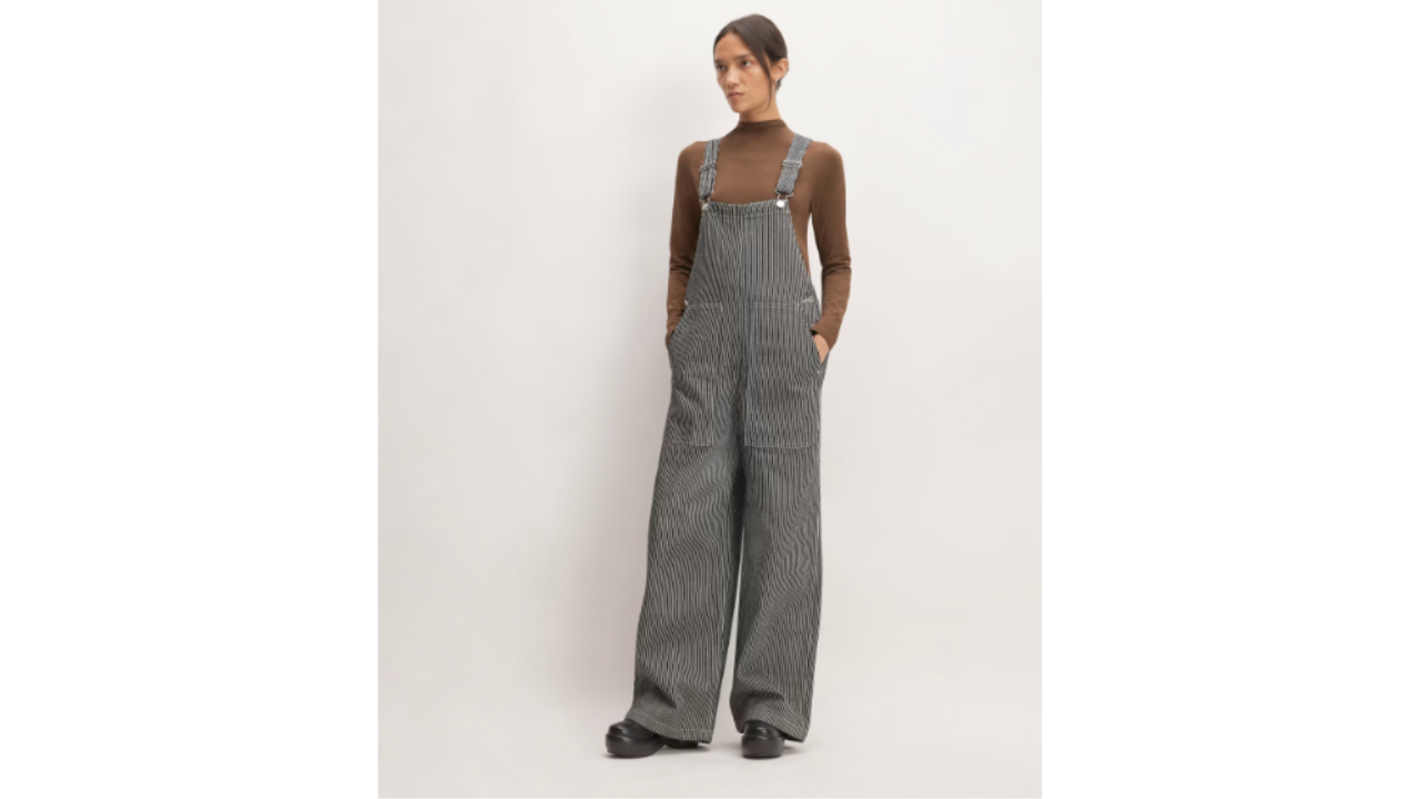 everlane the gardner overalls, best maternity overalls